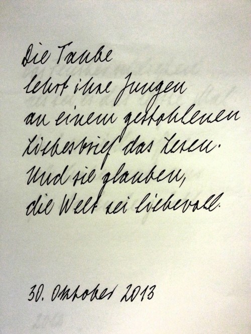 Ute Schlerath: Die Taube