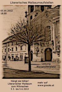 Graukos Maibaum vor dem "Aufstellen"