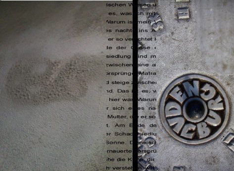 408507_2904934797960_1248234297_n